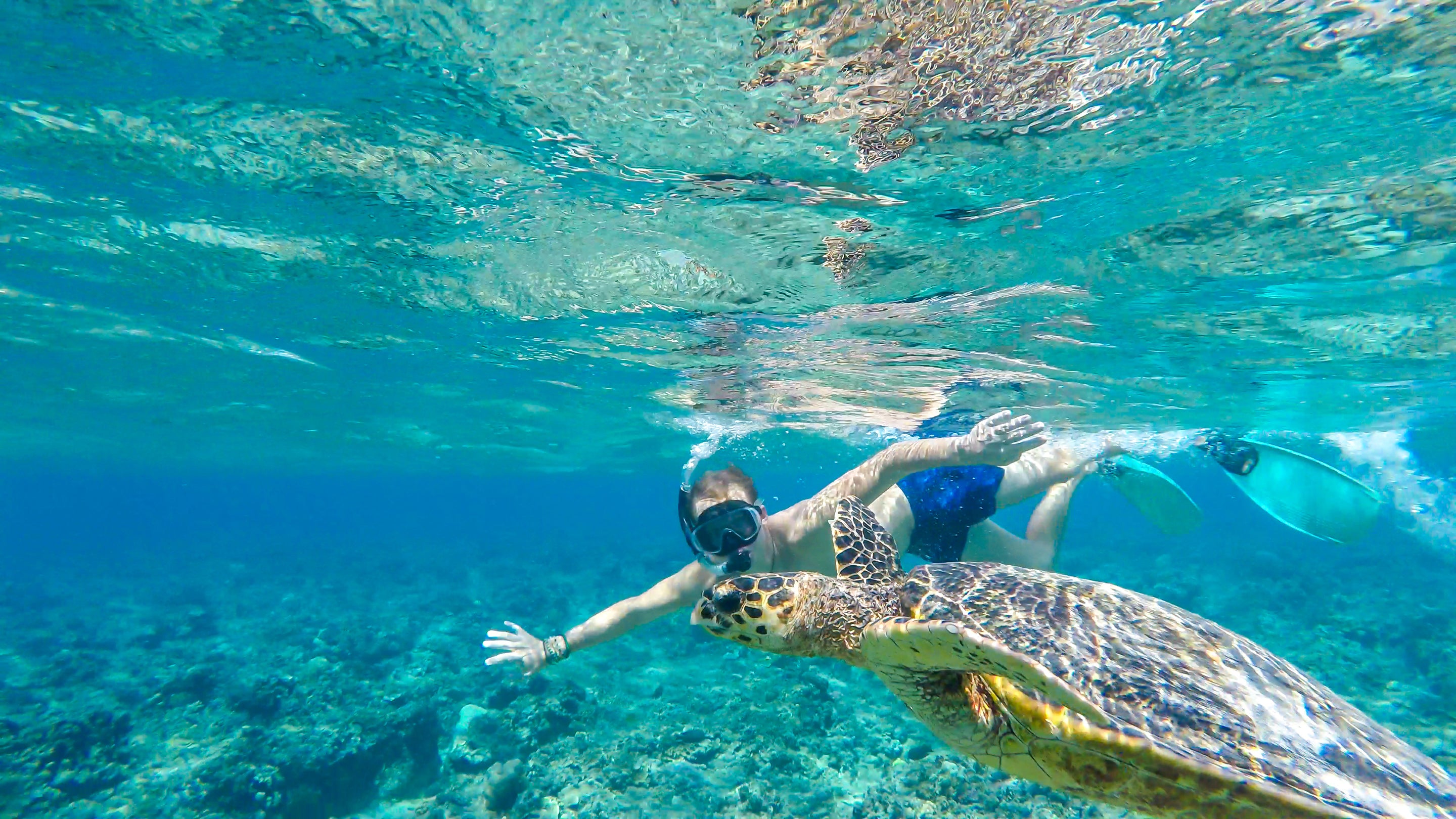 Book Snorkel and Dive Tours in Bali and Nusa Penida