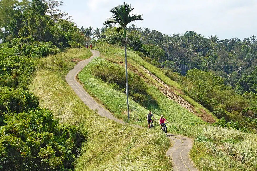 Mountain Bike Tour