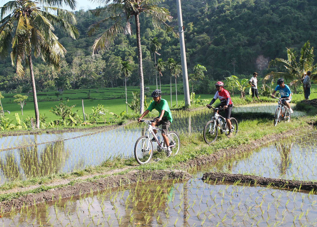 Mountain Bike Tour