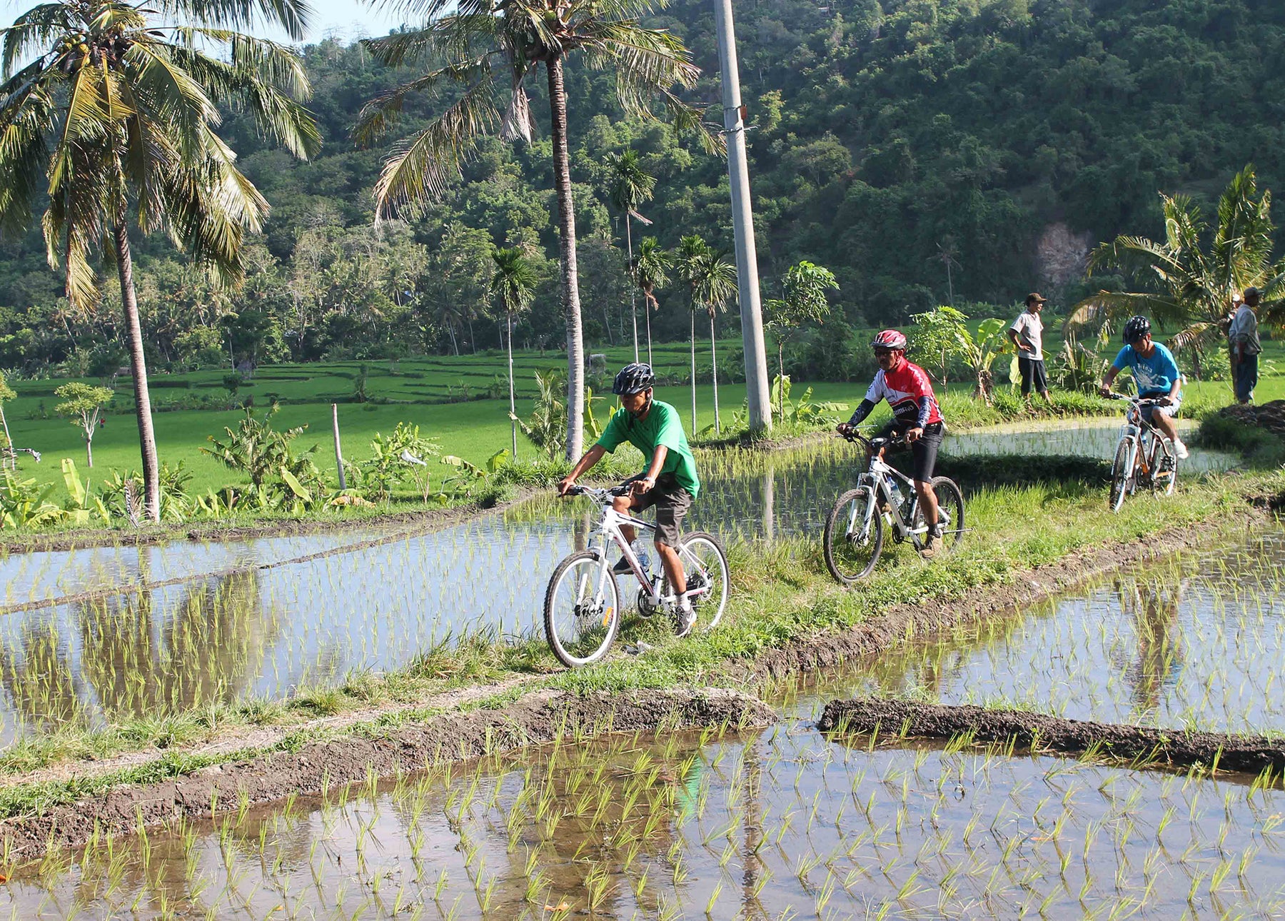Mountain Bike Tour – Bali Savvy
